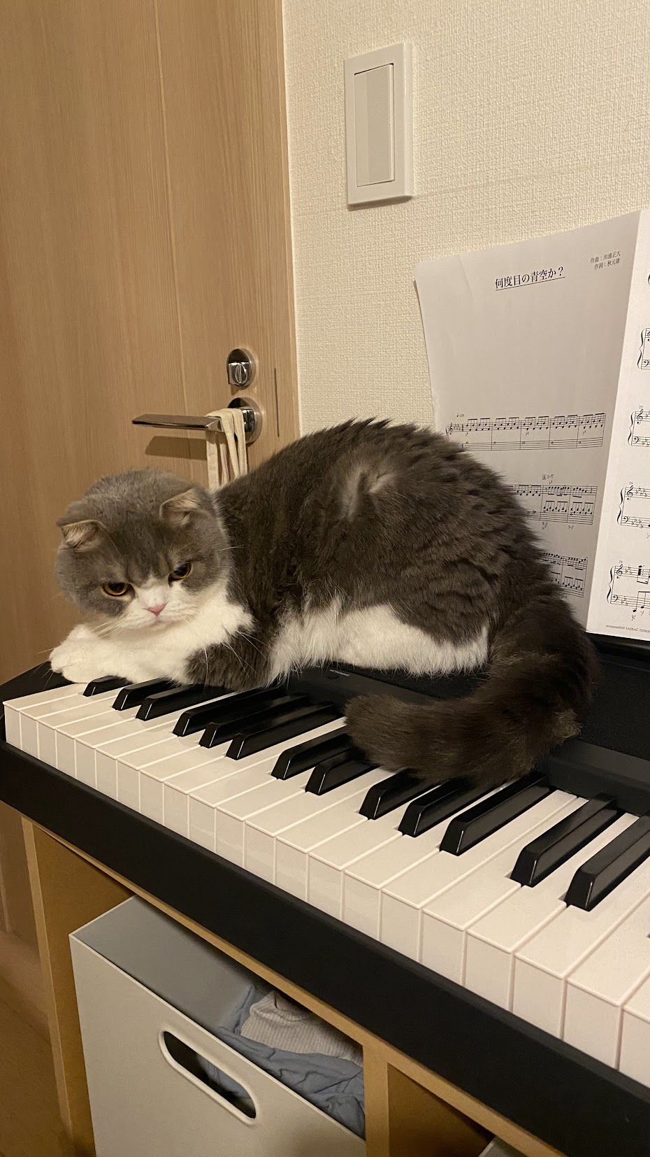 レンティオで借りたピアノ